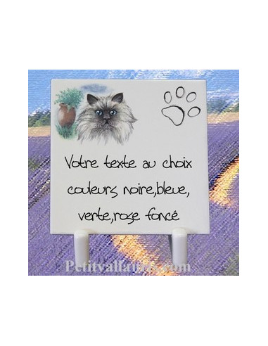 chat vallauris
