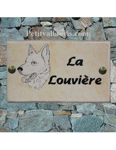 chat vallauris