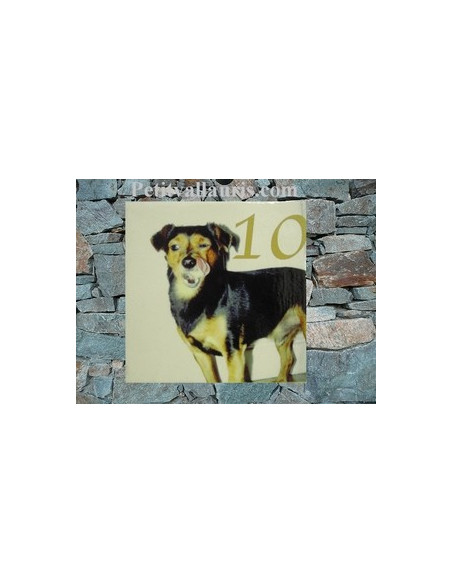 Plaque en céramique personnalisable avec photo de mon animal (n°1)