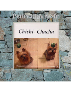 Plaque en céramique 15x15 cm personnalisable avec photo de mon chien (n°8)