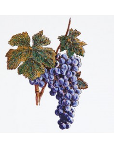 Carreau en faience blanche décor grappe de raisin 10 x 10 cm