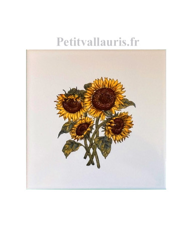 Carreau en faience blanche 20 x 20 cm... Carreau en faience blanche 20 x 20 cm...