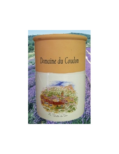 Brique à Vin – Refroidisseur De Bouteille En Terre Cuite – Décor Feuille – 25 Cm