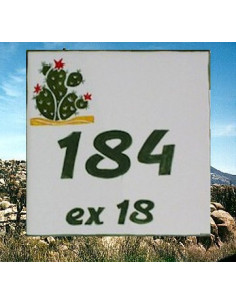 Numéro de Maison pose horizontale décor cactus chiffre vert
