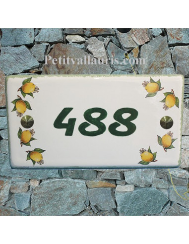 Plaque pour Maison rectangle décor citrons inscription personnalisée bord verte