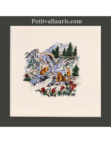 Carrelage mural blanc au motif décor Marmottes et cascade en montagne de taille 10 x 10 , 15 x15 et 20 x 20 cm