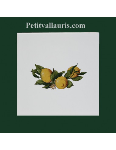 Carreau décor Fruit Citron 15 x 15 cm