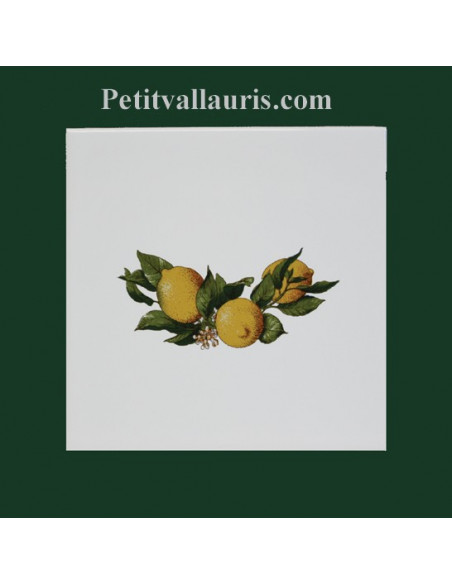 Carreau décor Fruit Citron 15 x 15 cm