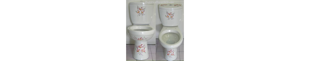Toilettes et WC en porcelaine au décors personnalisés par Le Petit Vallauris