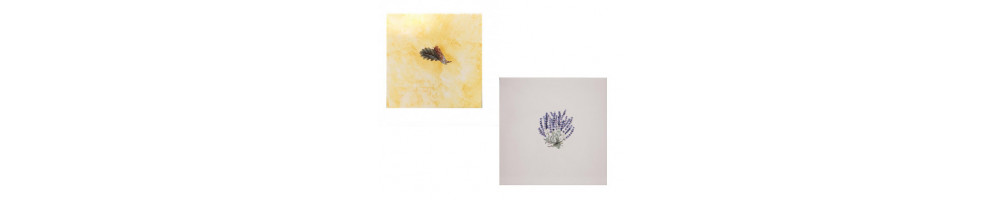 décors sur carreaux 20 x 20 cm