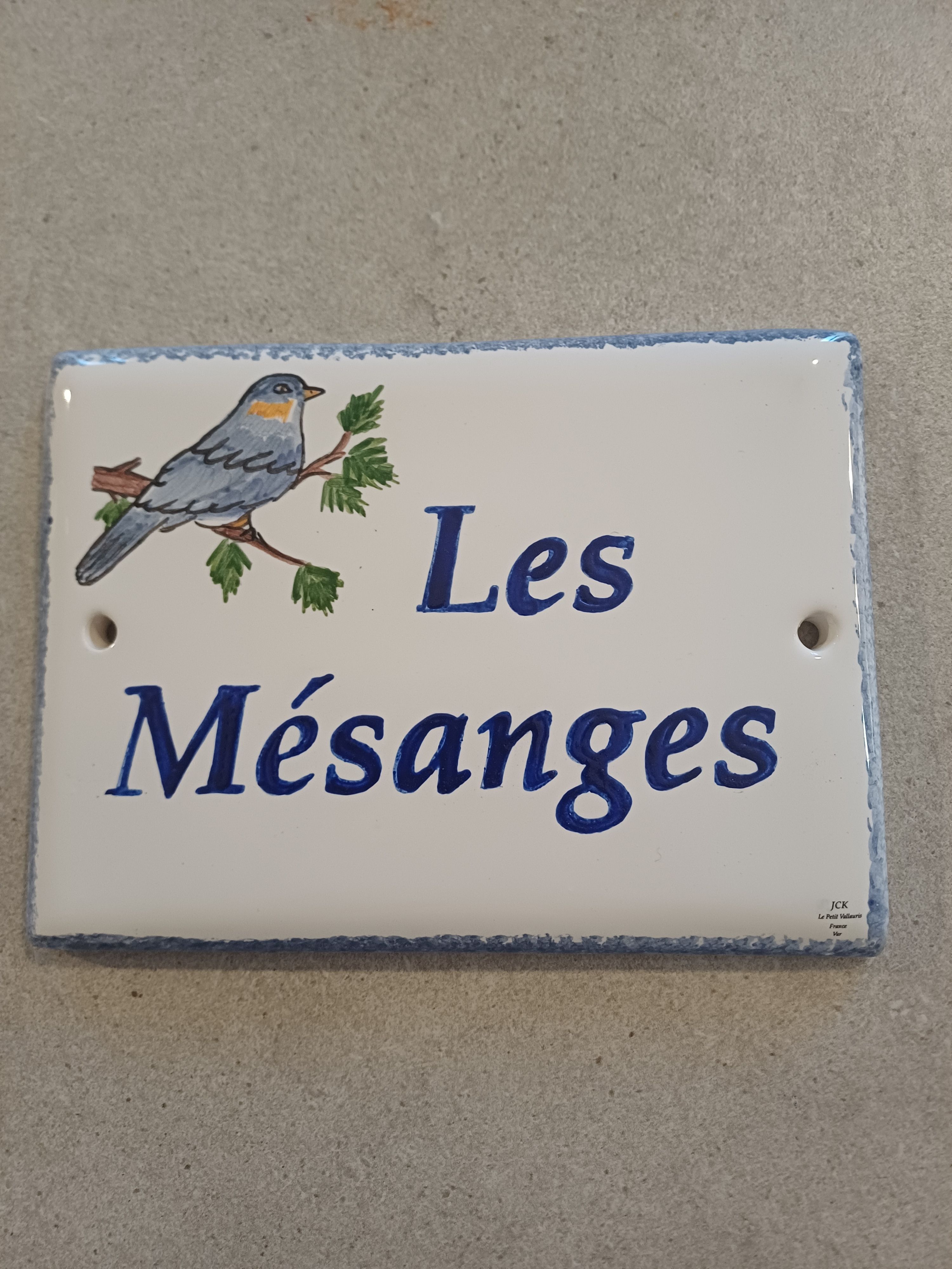 plaque motifs les pirates