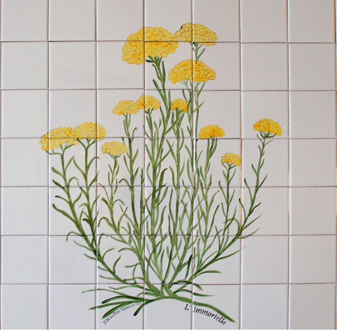 Fresque immortelles